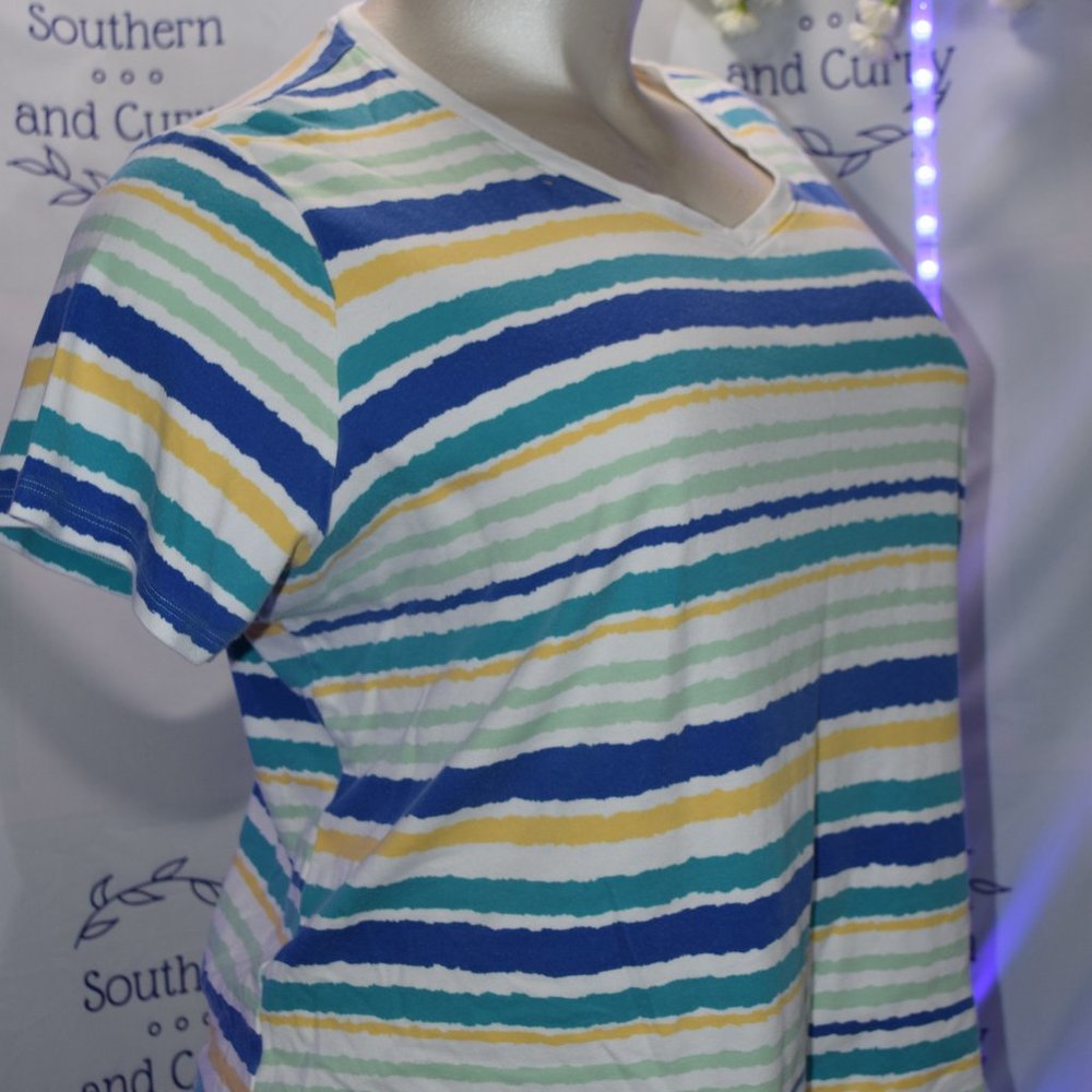 Kim Rogers Woman v-neck striped tee 2x